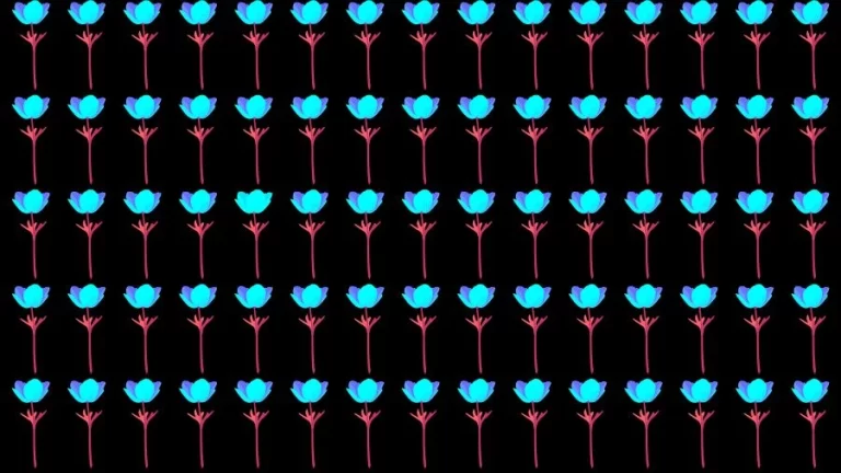 Optical Illusion Brain Challenge: If you have Eagle Eyes find the Odd Flower in 15 Seconds