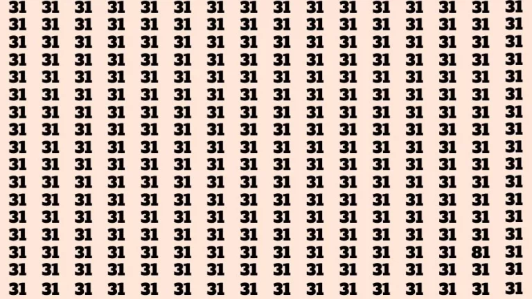 Visual Test: If you have Eagle Eyes Find the Number 81 in 15 Secs