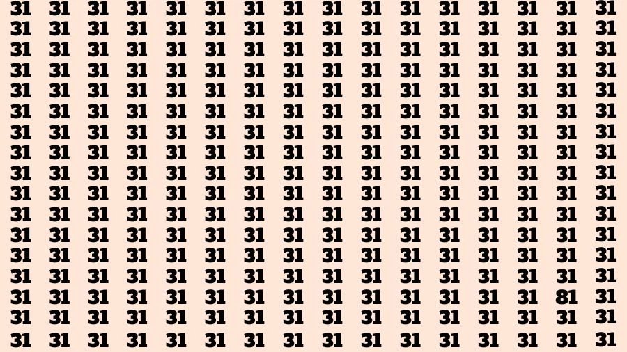 Visual Test: If you have Eagle Eyes Find the Number 81 in 15 Secs