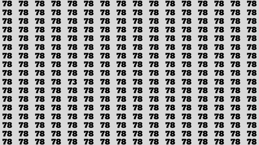 Optical Illusion Visual Test: If you have Sharp Eyes Find the Number 73 in 15 Secs