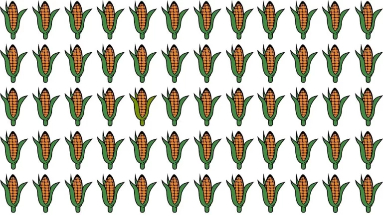 Optical Illusion Challenge: If you have Eagle Eyes find the Odd Corn in 13 Seconds