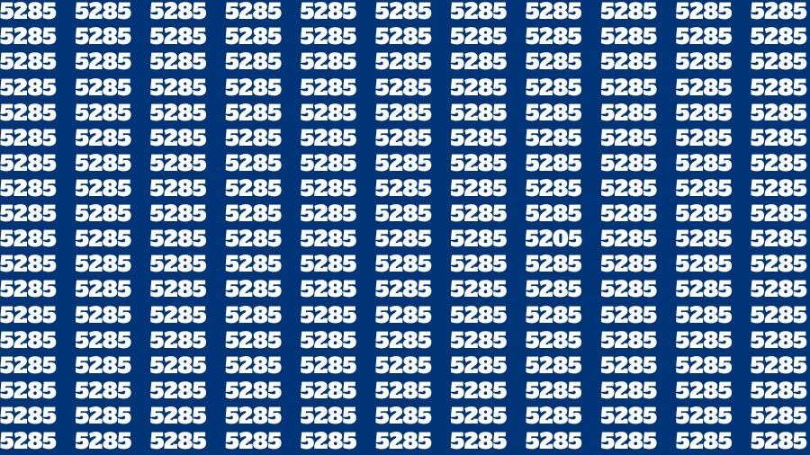 Observation Skill Test: If you have Sharp Eyes Find the Number 5205 in 15 Secs