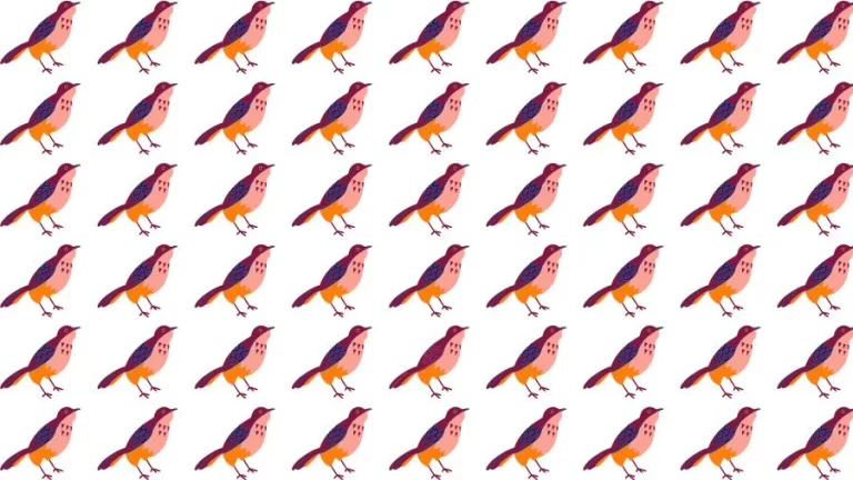 Optical Illusion Brain Test: If you have Eagle Eyes find the Odd Bird in 15 Seconds