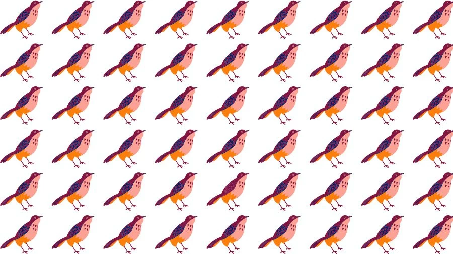 Optical Illusion Brain Test: If you have Eagle Eyes find the Odd Bird in 15 Seconds