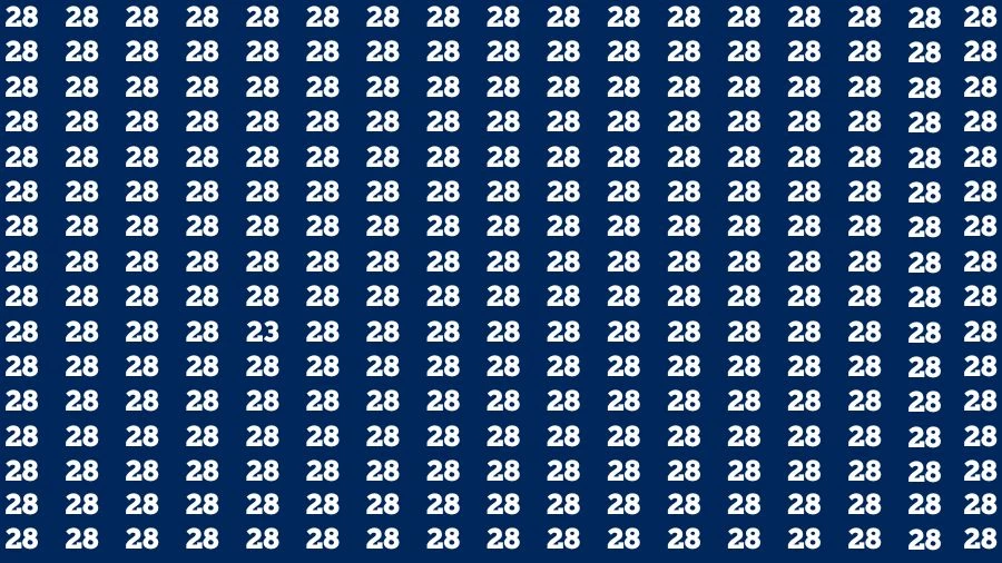 Optical Illusion Brain Challenge: If you have 50/50 Vision Find the number 23 in 15 Secs