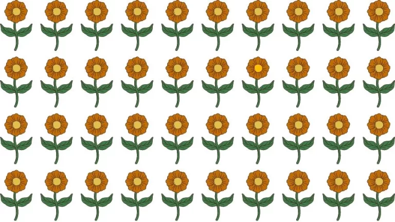 Optical Illusion Brain Test: If you have Eagle Eyes find the Odd Flower in 15 Seconds