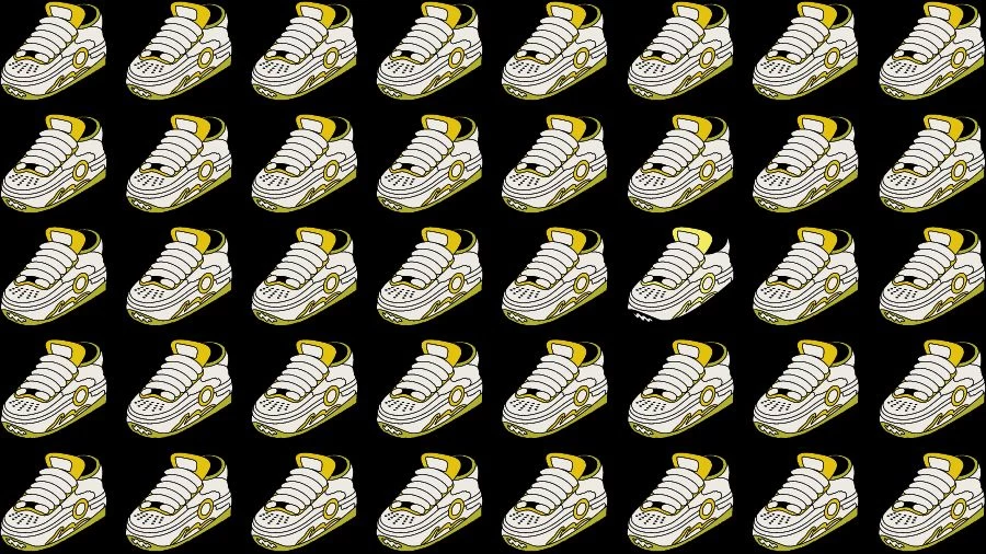 Optical Illusion Challenge: If you have Eagle Eyes find the Odd Shoe in 15 Seconds