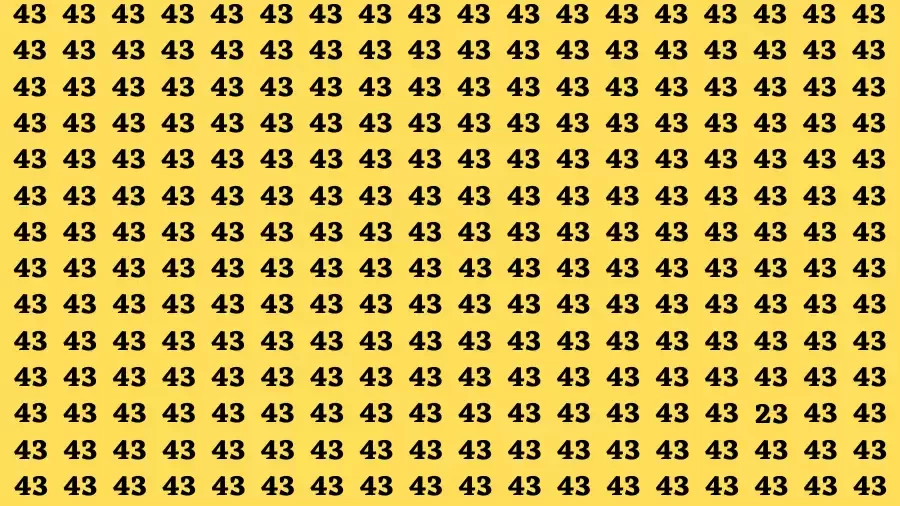 Observation Find it Out: If you have Sharp Eyes Find the number 23 in 15 Secs