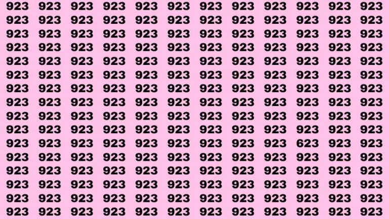 Optical Illusion Brain Challenge: If you have Hawk Eyes Find the Number 623 among 923 in 15 Secs