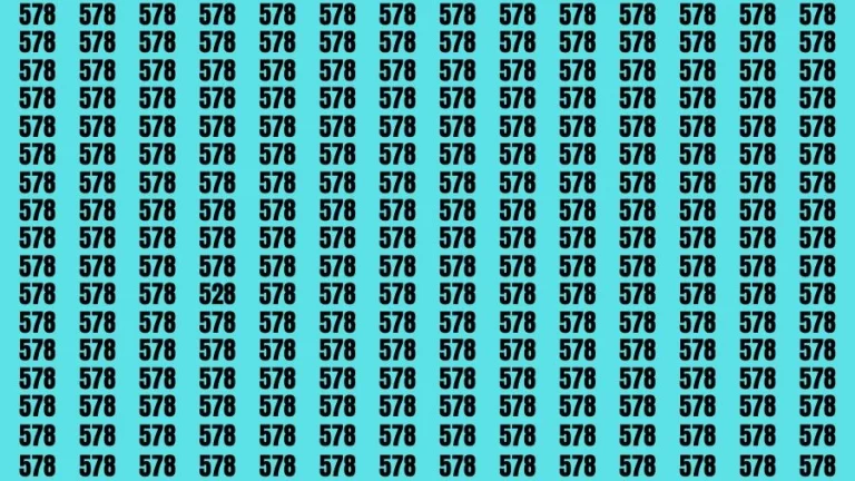 Observation Skill Test: If you have Sharp Eyes Find the Number 528 in 15 Secs