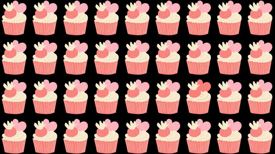 Optical Illusion Challenge: If you have Eagle Eyes find the Odd Cupcake in 15 Seconds