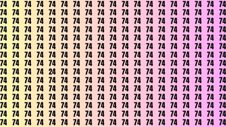 Optical Illusion Brain Challenge: If you have 50/50 Vision Find the number 24 in 15 Secs