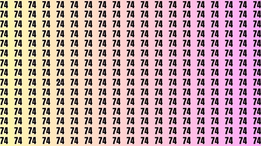 Optical Illusion Brain Challenge: If you have 50/50 Vision Find the number 24 in 15 Secs