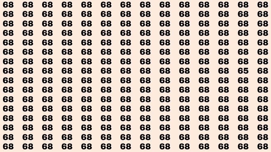 Observation Brain Challenge: If you have Hawk Eyes Find the Number 65 among 68 in 12 Secs