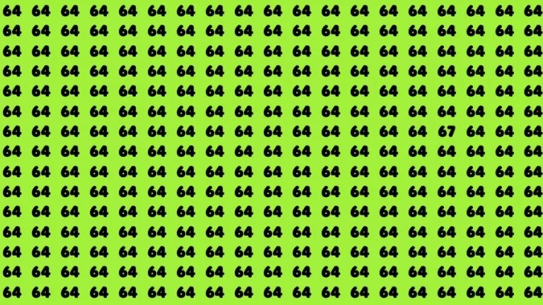 Optical Illusion Brain Challenge: If you have 50/50 Vision Find the number 67 among 64 in 12 Secs