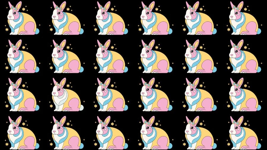 Optical Illusion Challenge: If you have Eagle Eyes find the Odd Rabbit in 15 Seconds