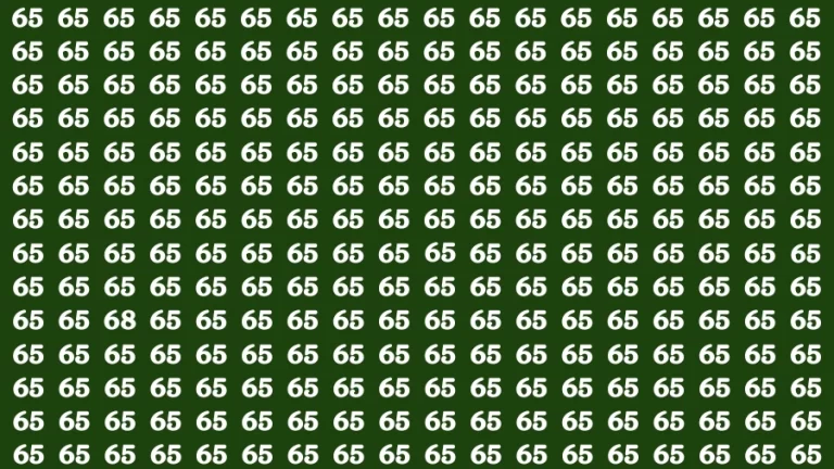 Observation Visual Test: If you have 50/50 Vision Find the Number 68 in 14 Secs