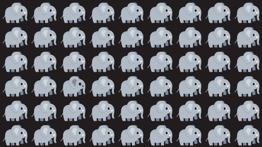 Optical Illusion Challenge: If you have Eagle Eyes find the Odd Elephant in 15 Seconds