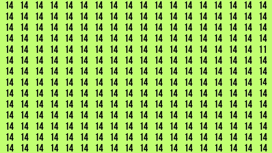 Visual Test: If you have Eagle Eyes Find the Number 11 in 15 Secs