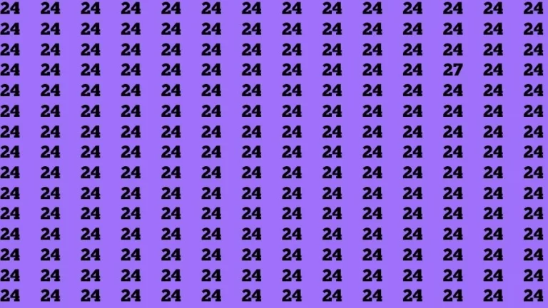 Observation Skill Test: If you have Sharp Eyes Find the Number 27 among 24 in 15 Secs