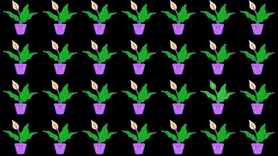 Optical Illusion Brain Test: If you have Eagle Eyes find the Odd Plant in 8 Seconds