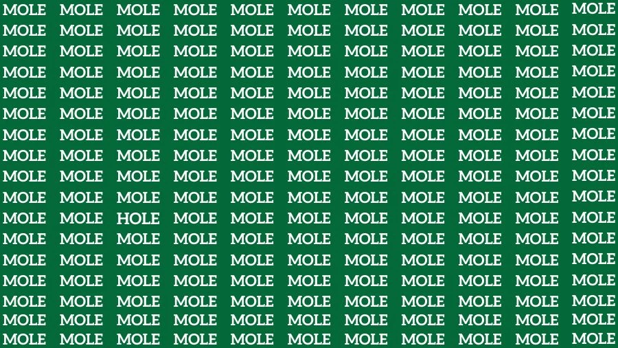 Optical Illusion Brain Test: If you have Eagle Eyes Find the word Hole among Mole in 15 Secs