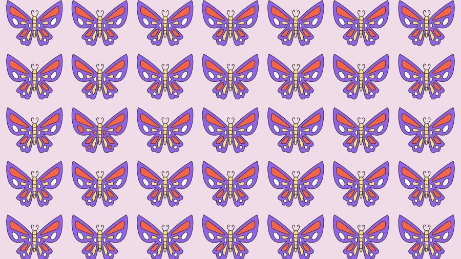 Optical Illusion Brain Test: If you have Eagle Eyes find the Odd Butterfly in 15 Seconds