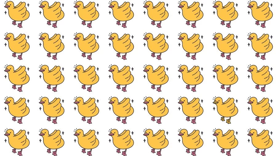 Optical Illusion Brain Test: If you have Eagle Eyes find the Odd Duck in 15 Seconds