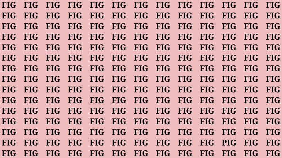 Observation Brain Challenge: If you have Eagle Eyes Find the word Pig in 15 Secs