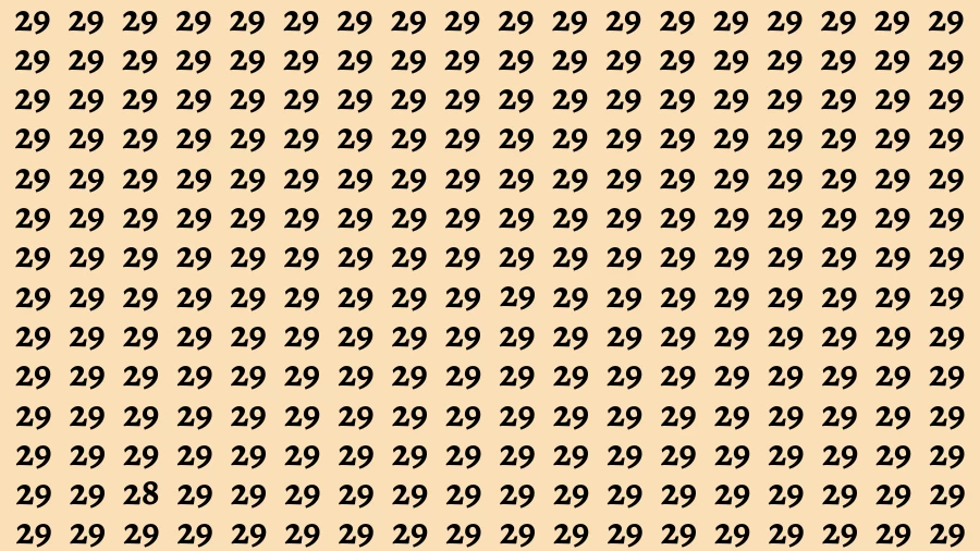 Visual Test: If you have 50/50 Vision Find the Number 28 among 29 in 15 Secs