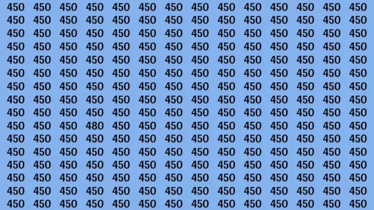 Optical Illusion Brain Challenge: If you have Hawk Eyes Find the Number 480 in 15 Secs