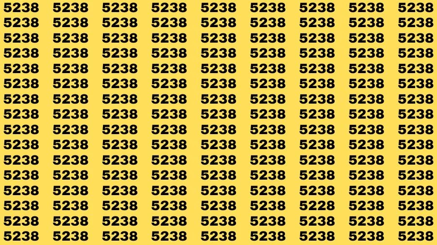 Observation Brain Test: If you have 50/50 Vision Find the Number 5228 among 5238 in 15 Secs