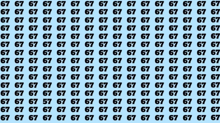 Brain Test: If you have Hawk Eyes Find the Number 57 in 67 Secs