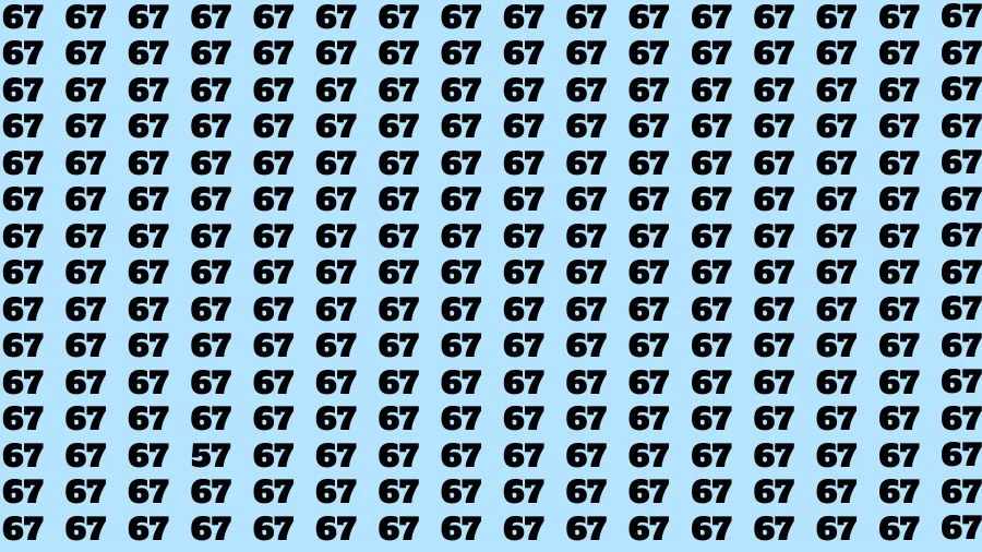 Brain Test: If you have Hawk Eyes Find the Number 57 in 67 Secs