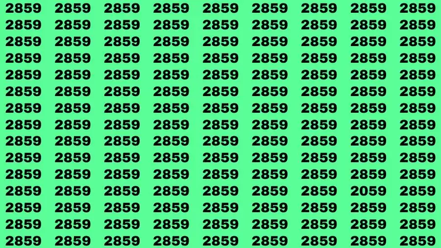 Observation Skill Test: If you have Eagle Eyes Find the Number 2059 in 15 Secs