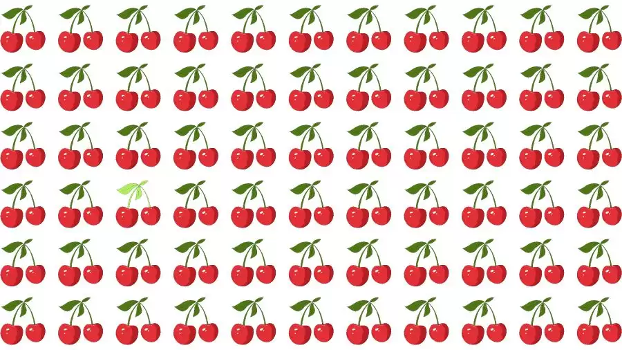 Optical Illusion Brain Challenge: If you have Hawk Eyes Find the Word Cherry in 15 Secs