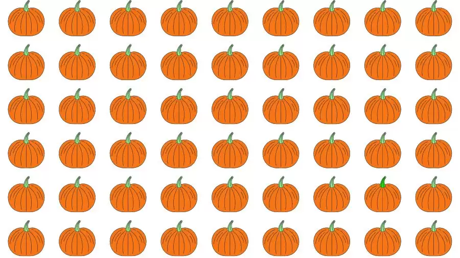 Optical Illusion Brain Test: If you have Eagle Eyes find the Odd Pumpkin in 15 Seconds