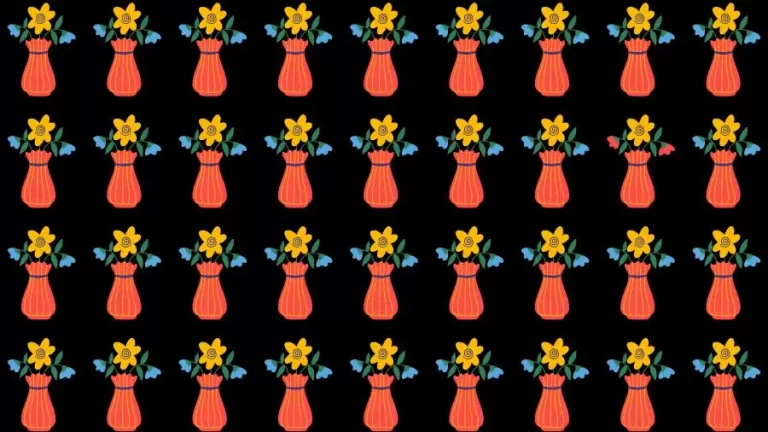 Optical Illusion Challenge: If you have Eagle Eyes find the Odd Flower Vase in 15 Seconds