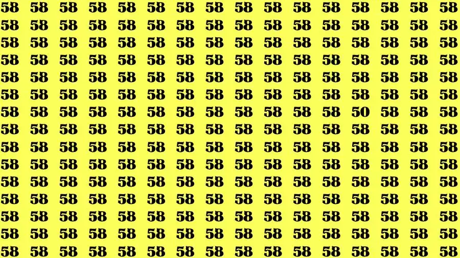 Observation Skill Test: If you have Sharp Eyes Find the Number 50 among 58 in 15 Secs