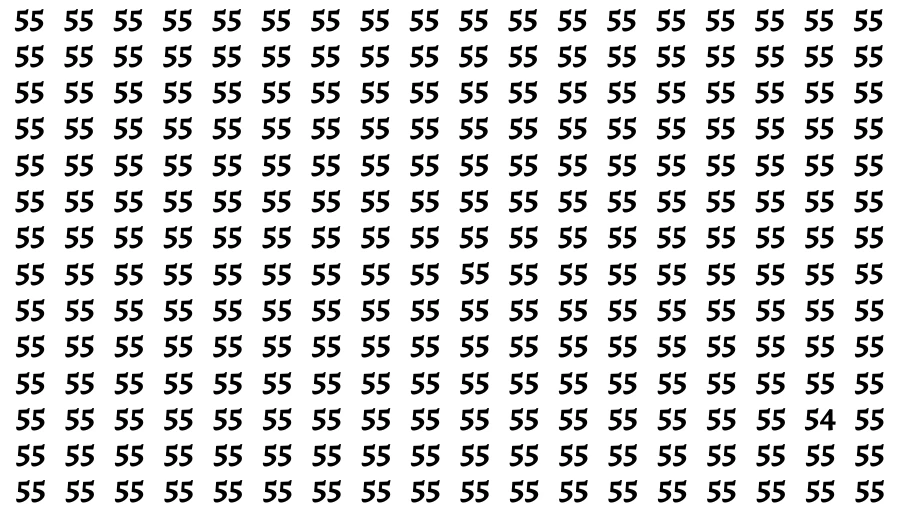 Observation Find it Out: If you have Sharp Eyes Find the number 54 in 20 Secs