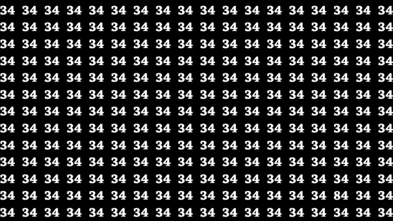 Observation Find it Out: If you have Sharp Eyes Find the number 84 in 20 Secs