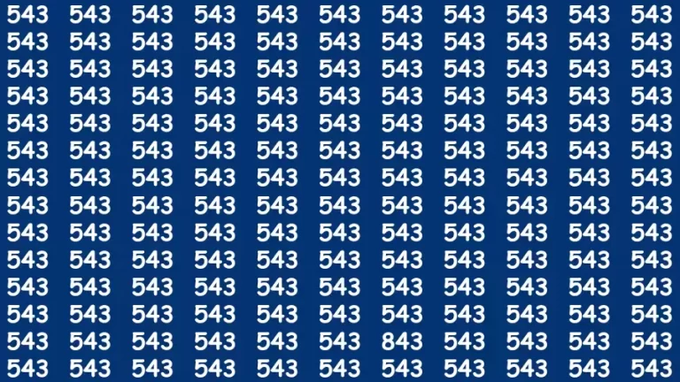 Optical Illusion Brain Challenge: If you have 50/50 Vision Find the number 843 in 12 Secs