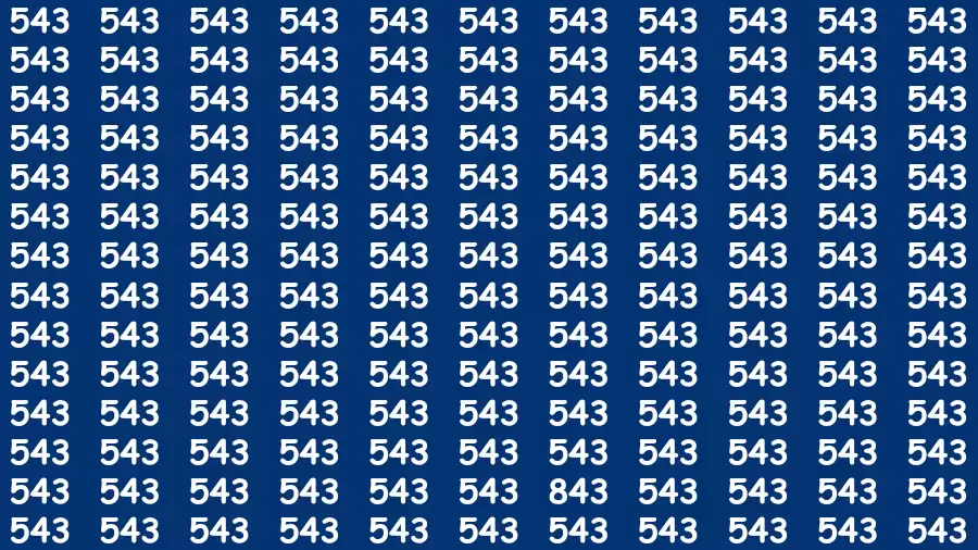 Optical Illusion Brain Challenge: If you have 50/50 Vision Find the number 843 in 12 Secs