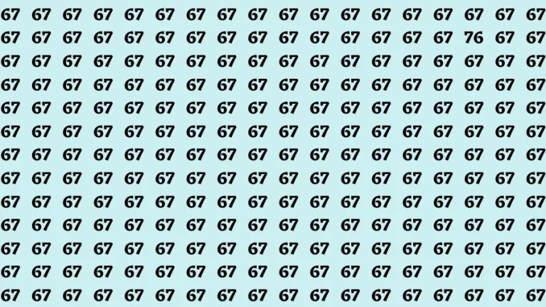 Brain Test: If you have 50/50 Vision Find the Number 76 in 15 Secs