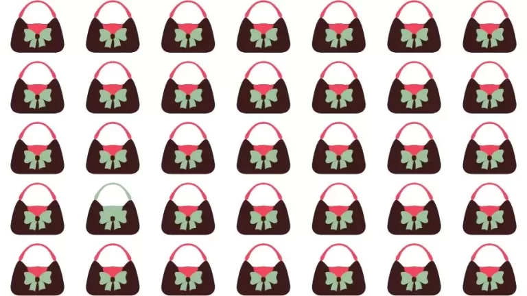 Optical Illusion Challenge: If you have Eagle Eyes find the Odd Handbag in 15 Seconds