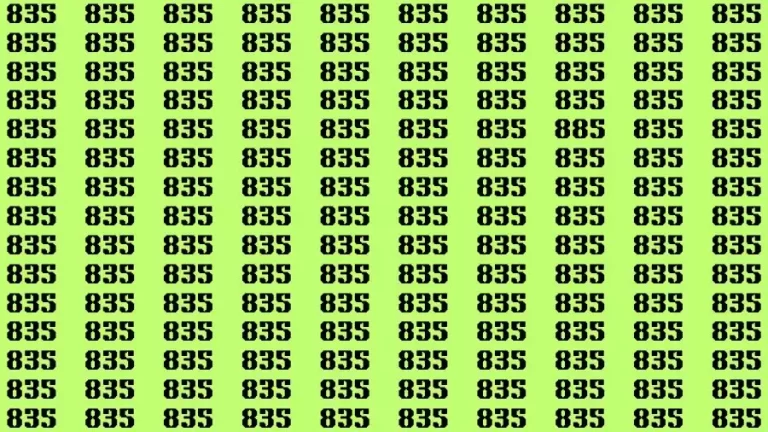 Optical Illusion Brain Test: If you have Eagle Eyes Find the Number 885 in 15 Secs