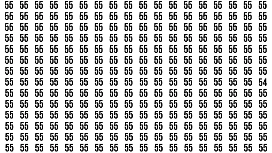 Test Visual Acuity: If you have Eagle Eyes Find the number 54 in 12 Secs