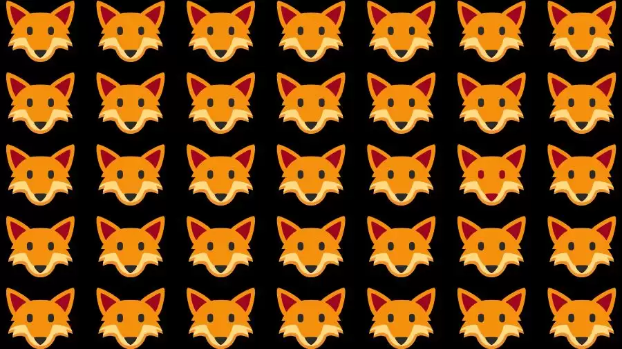 Observation Skill Test: If you have Eagle Eyes Find the Odd Fox in 20 Secs