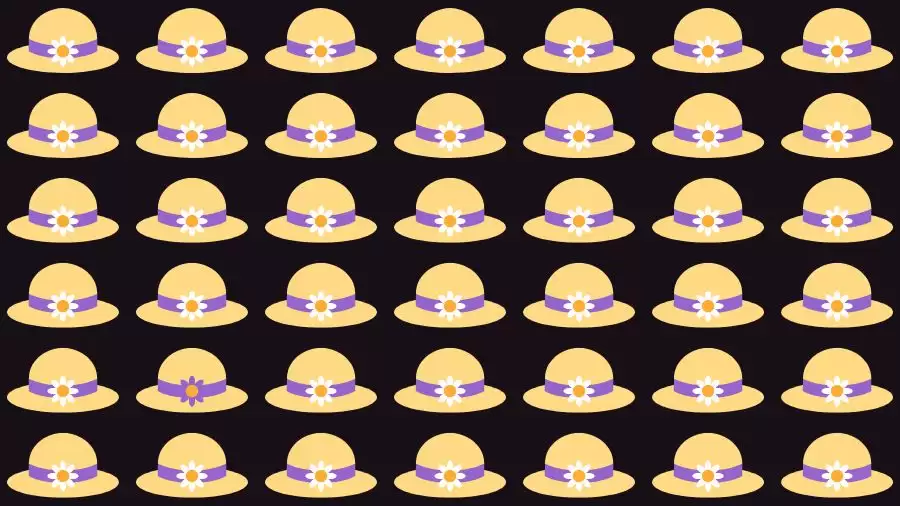 Optical Illusion Brain Challenge: If you have Hawk Eyes Find the Odd Hat in 10 Secs