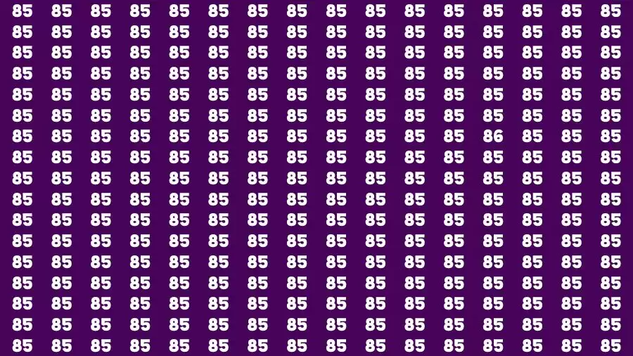 Observation Visual Test: If you have Eagle Eyes Find the number 86 among 85 in 12 Secs